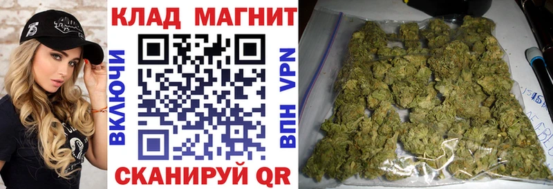 Где купить наркотики Заречный Гашиш  Кокаин  Меф  Каннабис 