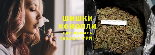 ГАЛЛЮЦИНОГЕННЫЕ ГРИБЫ Аркадак