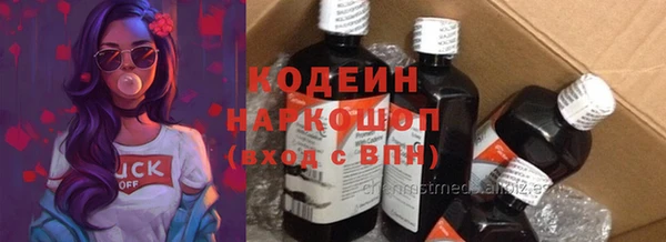 ГАЛЛЮЦИНОГЕННЫЕ ГРИБЫ Аркадак
