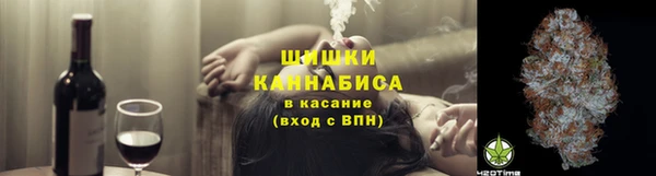 ГАЛЛЮЦИНОГЕННЫЕ ГРИБЫ Аркадак