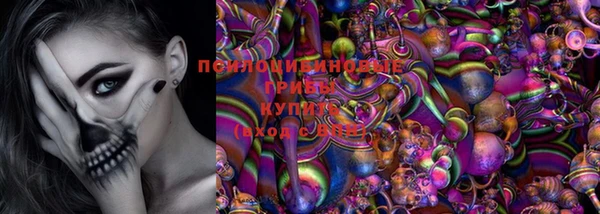 ГАЛЛЮЦИНОГЕННЫЕ ГРИБЫ Аркадак