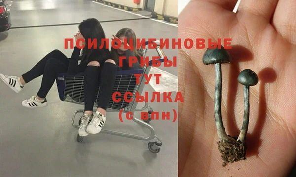 кокс Карпинск