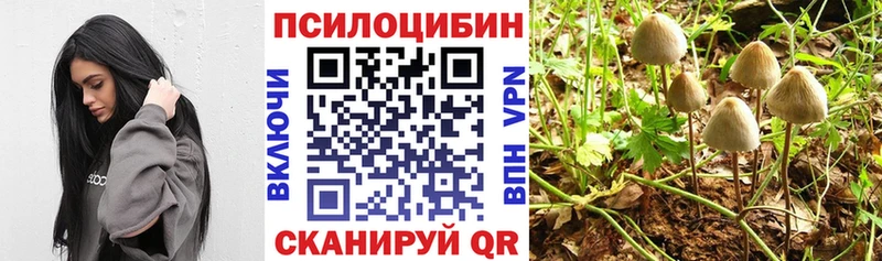 Галлюциногенные грибы мицелий Заречный